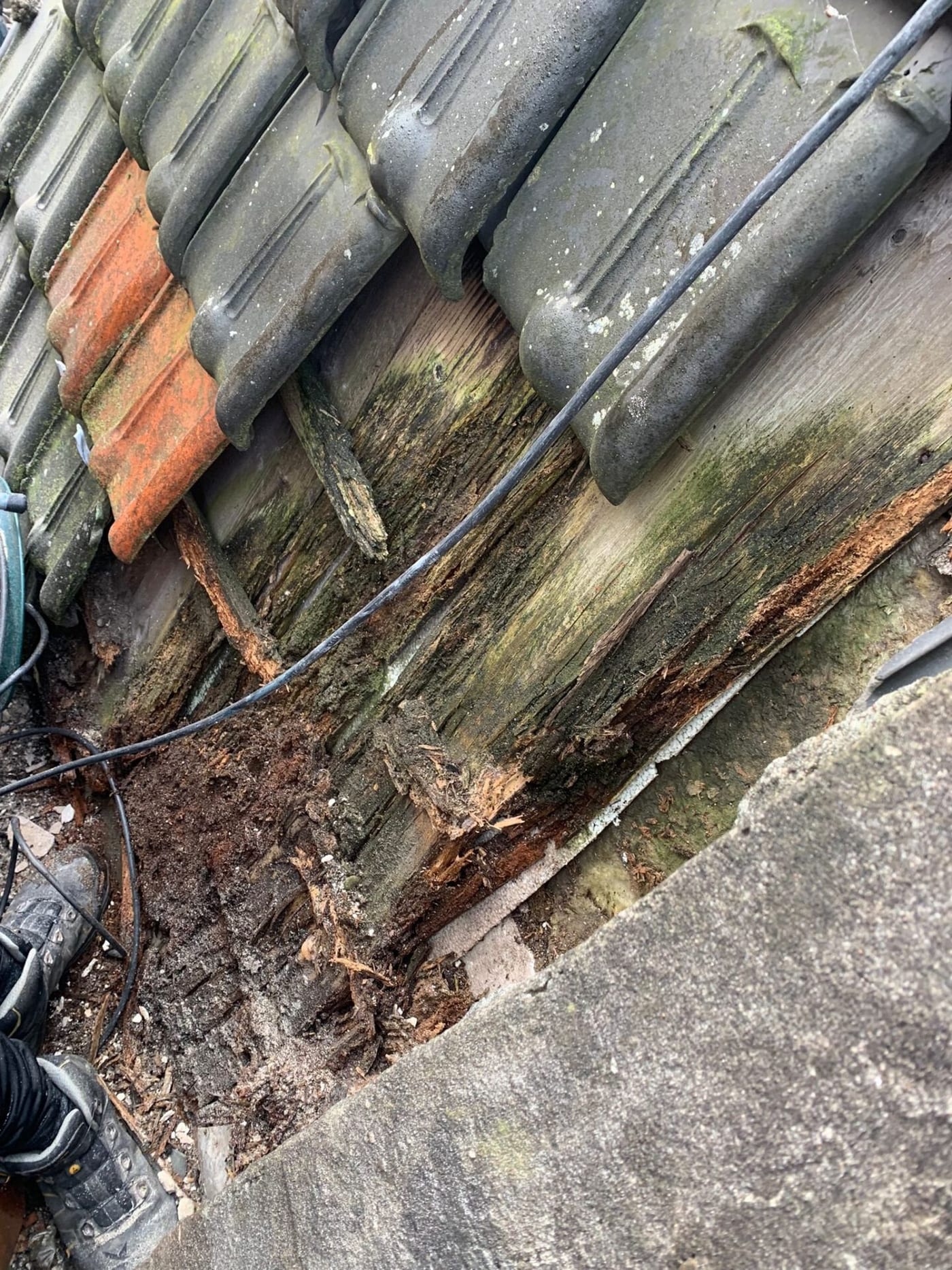 Rot hout bij de dakvoet onder bemoste dakpannen, gevonden tijdens lekkagezoeken