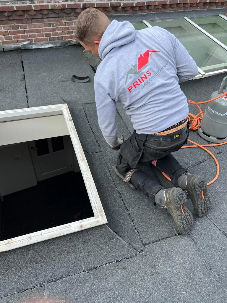Lichtkoepel netjes ingewerkt